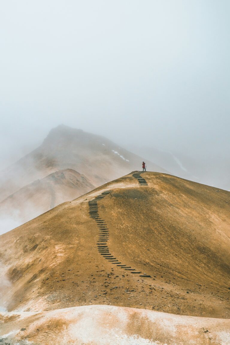 Alexander Milo from unsplash