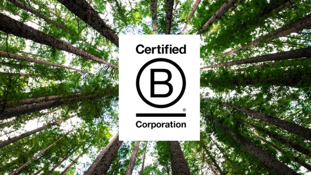 B corp